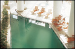 מלון קראון פלזה ים המלח פריחת השקד