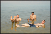 dead sea groups